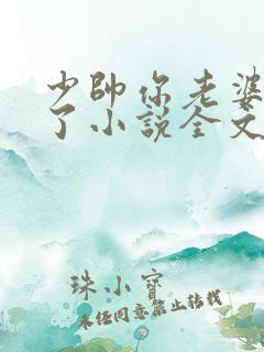少帅你老婆又跑了小说全文免费阅读