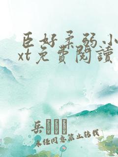 臣好柔弱小说txt免费阅读