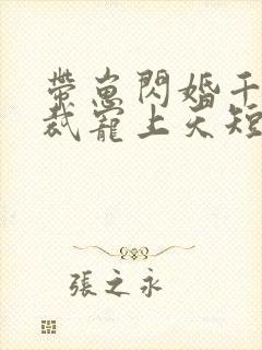 带崽闪婚千亿总裁宠上天短剧