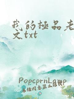 我的极品老婆全文txt