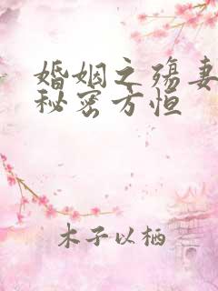 婚姻之殇妻子的秘密方恒
