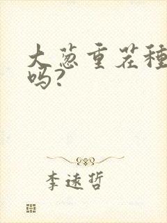 大葱重茬种可以吗?
