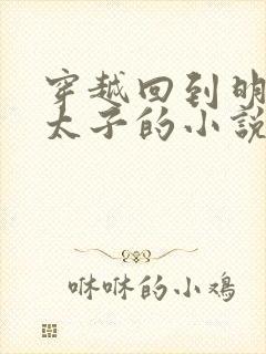穿越回到明朝当太子的小说