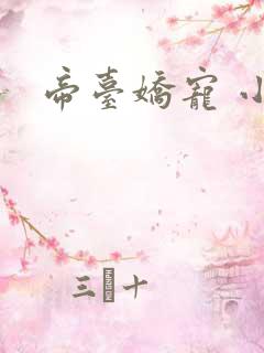 帝台娇宠 小说
