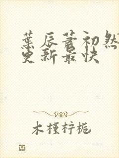 叶辰萧初然哪里更新最快