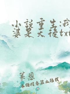 小说重生:我老婆是天后txt免费阅读