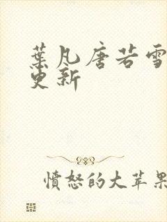 叶凡唐若雪王婿更新