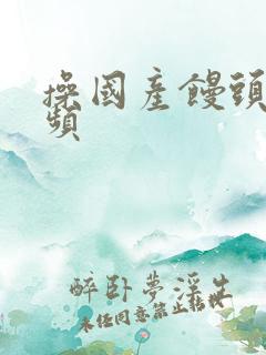 操国产馒头逼视频