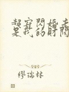 超宠闪婚老公竟是我的财阀大佬上司