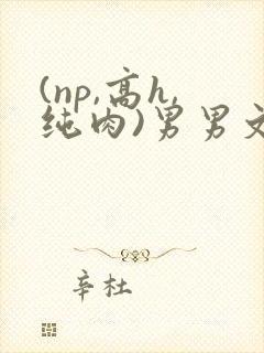 (np,高h,纯肉)男男文