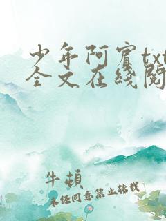 少年阿宾txt全文在线阅读