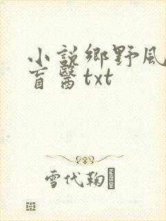 小说乡野风流小盲医txt
