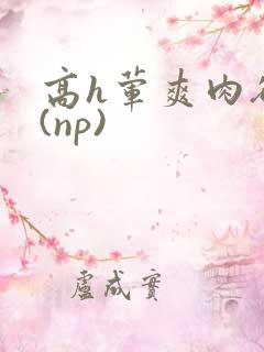 高h荤爽肉欲文(np)