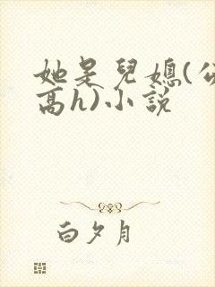她是儿媳(公媳高h)小说