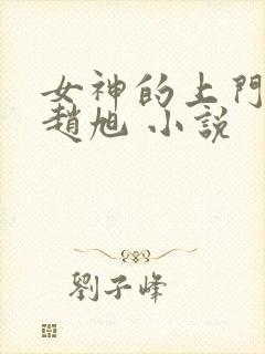 女神的上门豪婿赵旭 小说