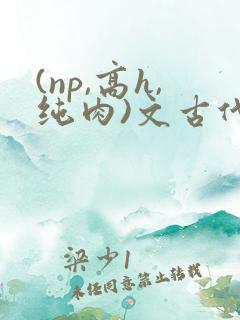 (np,高h,纯肉)文古代
