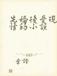 先婚后爱现代言情的小说