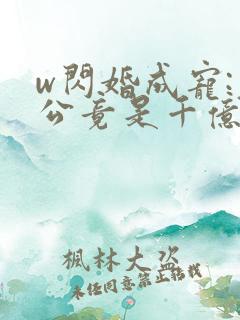 w闪婚成宠:老公竟是千亿大佬