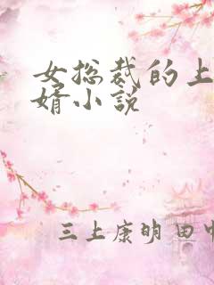 女总裁的上门龙婿小说