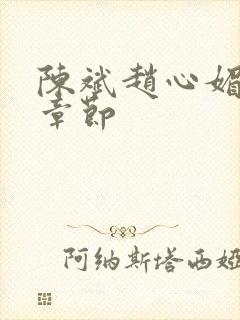 陈斌赵心媚免费章节