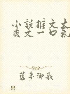 小说推文大女主爽文一口气看完重生有系统