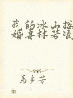 我的冰山总裁未婚妻林若曦