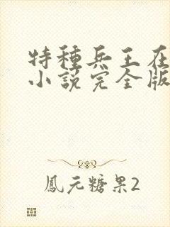 特种兵王在山村小说完全版