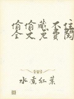 偷偷藏不住小说全文免费阅读无弹窗