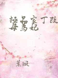 极品家丁改编册母为妃