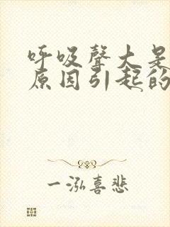 呼吸声大是什么原因引起的