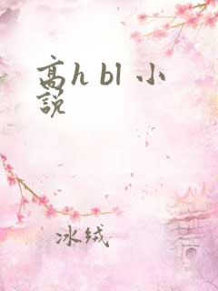 高h bl 小说