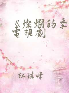 《灿烂的季节》电视剧