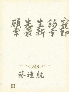 顾先生的宠妻日常最新章节免费阅读