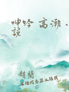 呻吟 高潮 小说