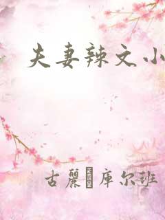 夫妻辣文小说