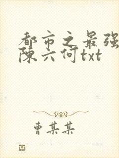 都市之最强狂兵陈六何txt