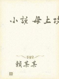 小说 母上攻略