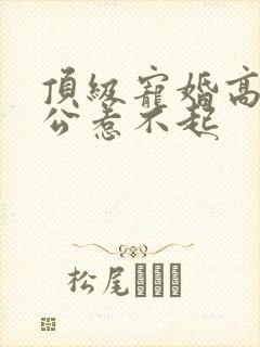 顶级宠婚高冷老公惹不起