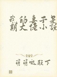 我的妻子是大乘期大佬小说免费阅读