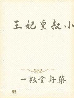 王妃皇叔小说