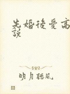 先婚后爱高h小说