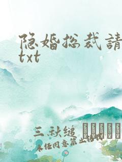隐婚总裁请签字txt