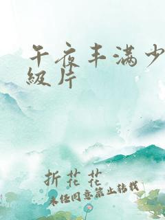 午夜丰满少妇一级片