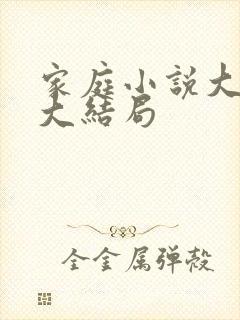家庭小说大杂烩大结局