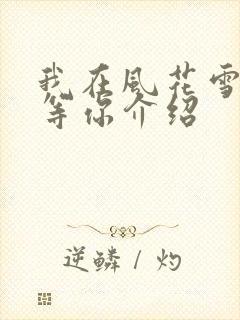 我在风花雪月里等你介绍