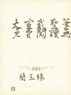 大宣武圣笔趣阁免费阅读无弹窗