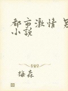 都市激情 另类小说