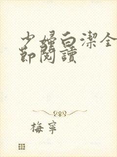 少妇白洁全文章节阅读