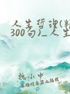 人生哲理(精选300句)_人生感悟的句子