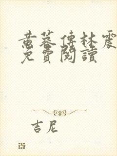 黄蓉传林震小说免费阅读